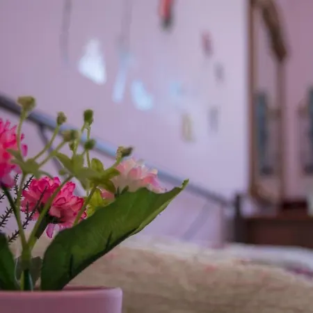 Eva's House 公寓 罗希姆诺